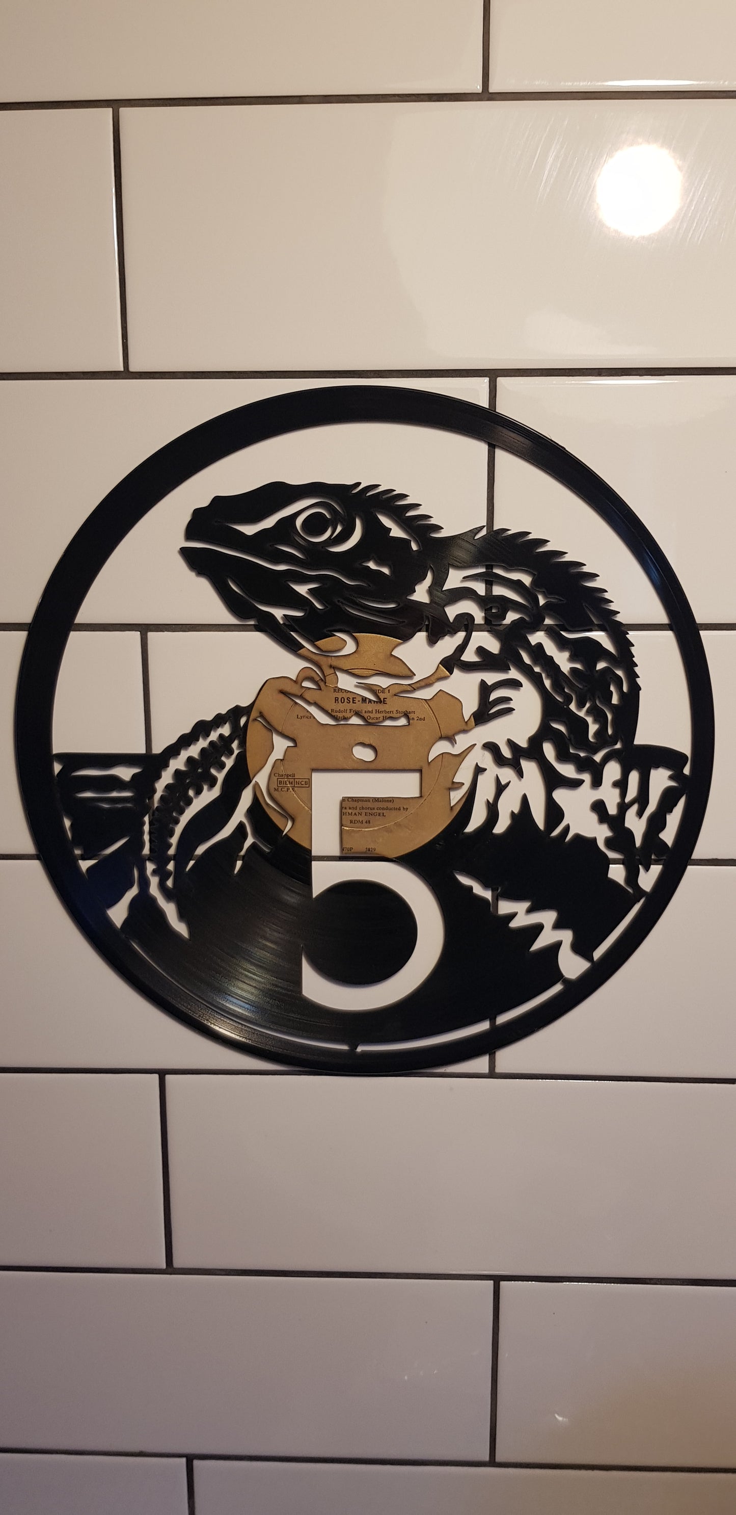 NZ 5c Coin (Tuatara) Vinyl Display