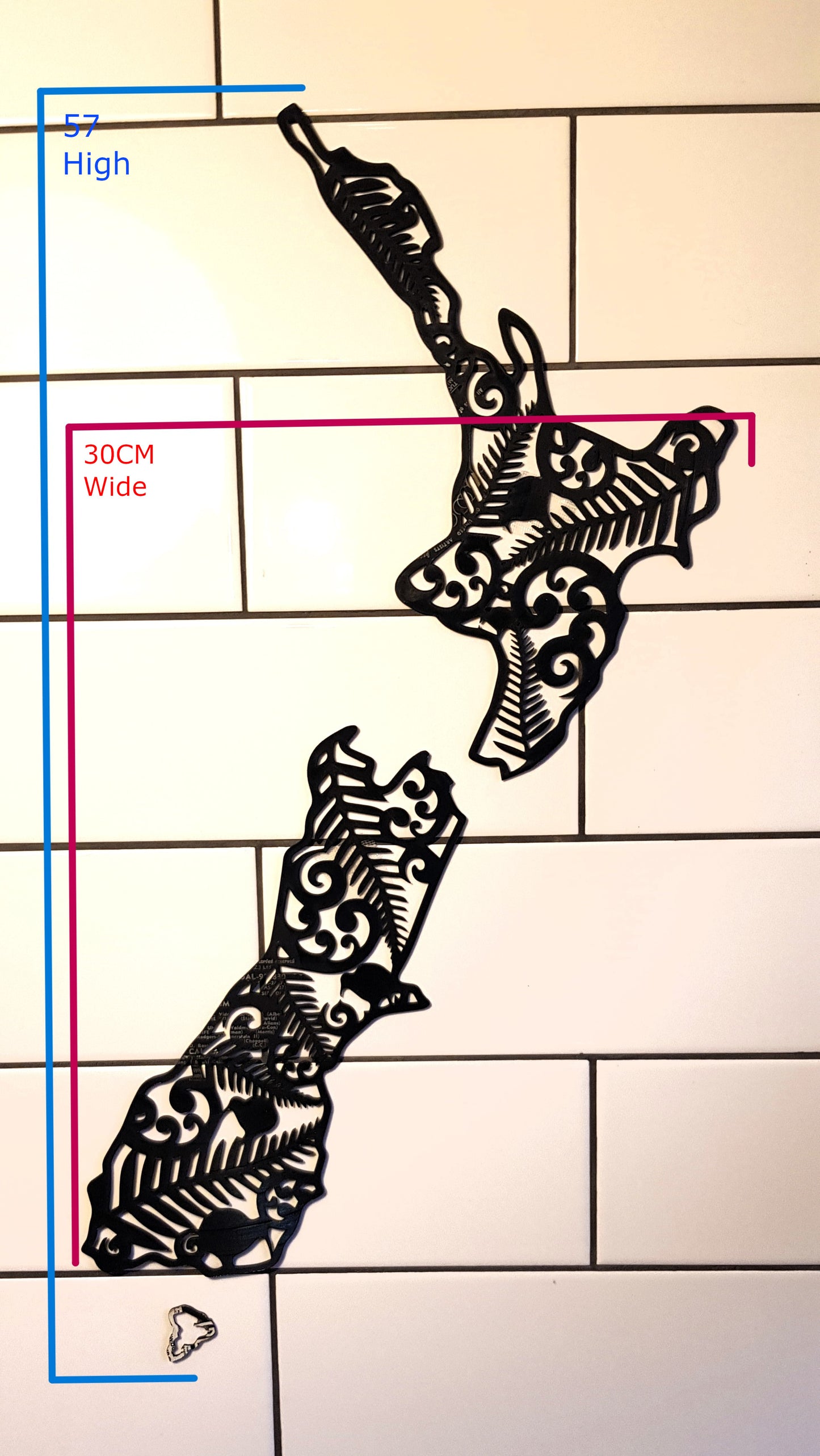 New Zealand Birds Map Vinyl Display