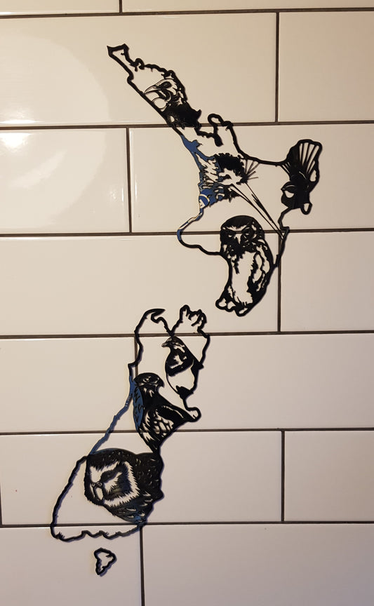 New Zealand Birds Map Vinyl Display