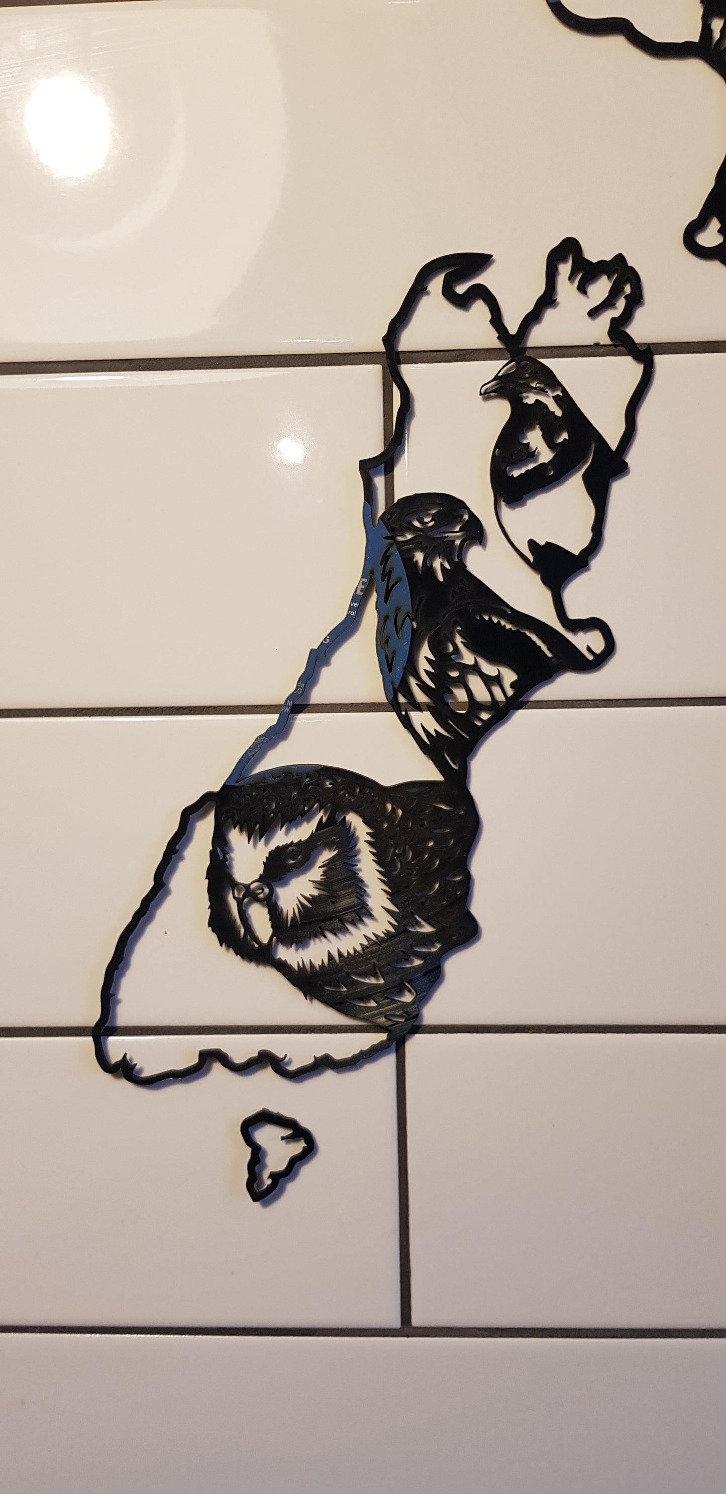 New Zealand Birds Map Vinyl Display